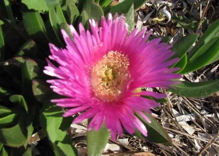 Couette-café Da Angela 3*